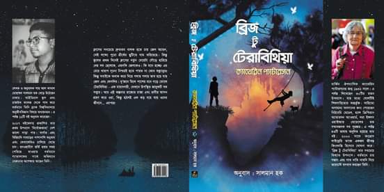 ব্রিজ টু টেরাবিথিয়া